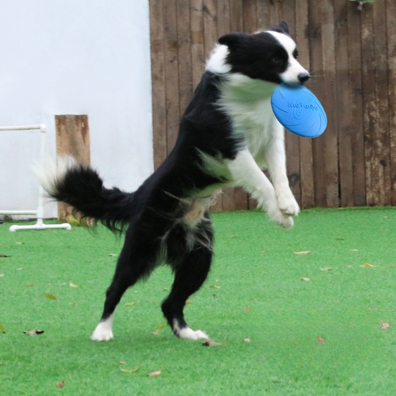 Frisbee Freestyle Disc - จานร่อนสำหรับสุนัข, จานร่อนพิเศษสำหรับสัตว์เลี้ยงสุนัข, จานร่อนฝึกความทนทานต่อการกัด, จานร่อนแบบดึงกลับได้, ของเล่นสุนัขมาตรฐาน, ผลิตภัณฑ์สำหรับสัตว์เลี้ยง