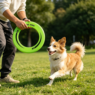 Frisbee Freestyle Disc - 1PC จานร่อนแบบวงแหวนกลวงทนทาน ทำจาก PP นุ่ม พกพาสะดวก
