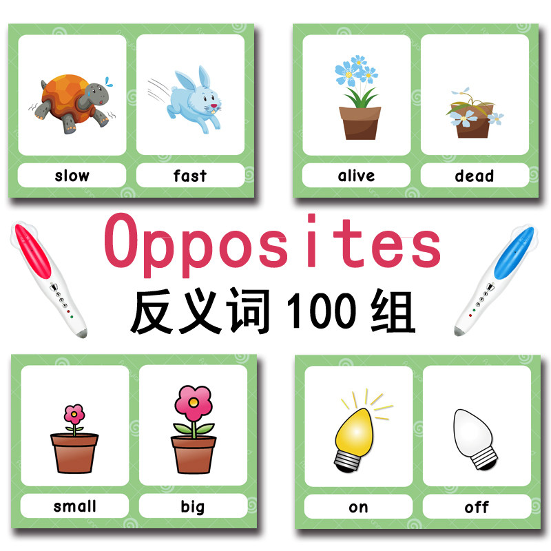 แฟลชการ์ดคำศัพท์ภาษาอังกฤษ 100 - Party Games New Year บทวิจารณ์และราคา