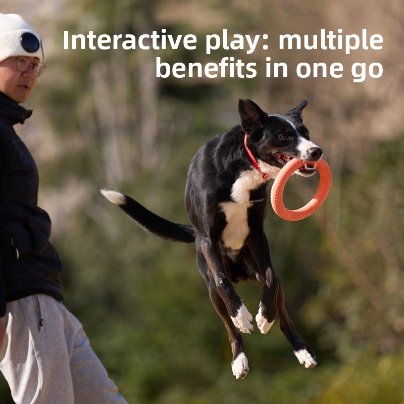 ของเล่นสัตว์เลี้ยงแบบอินเทอร์แ - Frisbee Freestyle Disc บทวิจารณ์และราคา