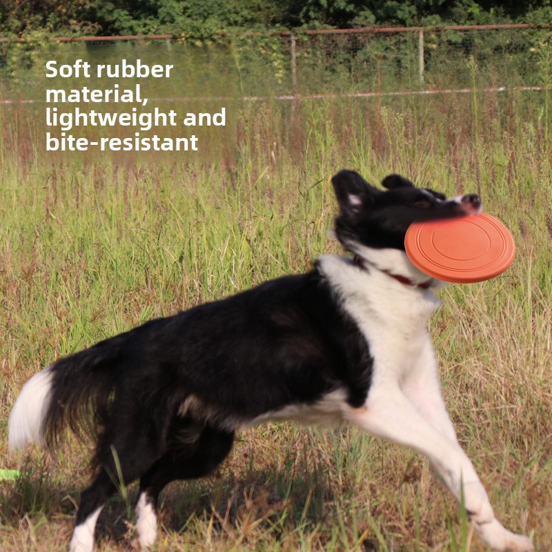 ของเล่นสุนัขแบบนุ่ม ฟริสบี้ฝึก - Frisbee Freestyle Disc บทวิจารณ์และราคา