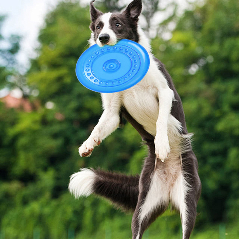 ของเล่นฝึกสัตว์เลี้ยงแบบทนทาน  - Frisbee Freestyle Disc บทวิจารณ์และราคา