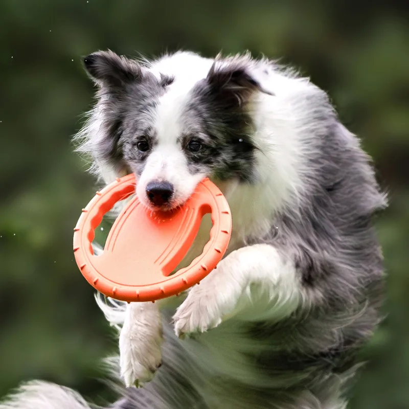 ของเล่นจานร่อนสำหรับสุนัข ทนทา - Frisbee Freestyle Disc บทวิจารณ์และราคา